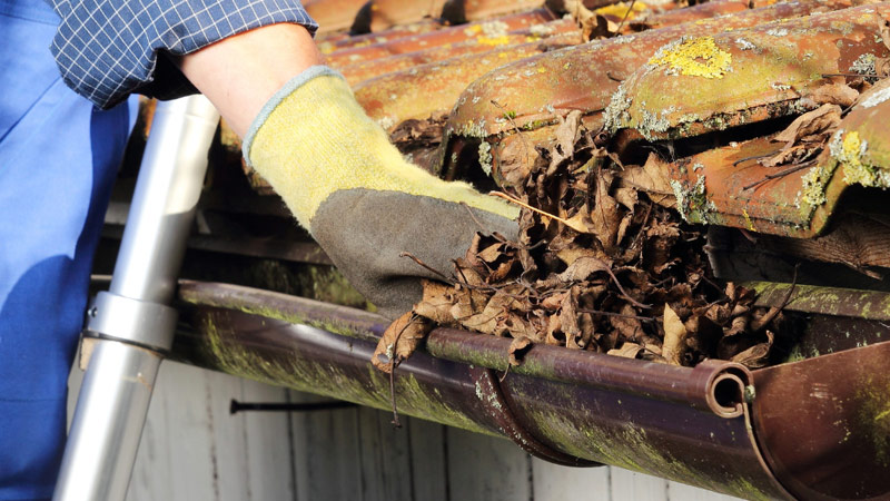 Jesienna lista przydomowych obowiązków