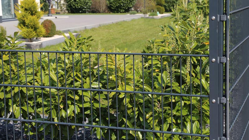 Ogrody przyszłości: rozwój technologii w dziedzinie ogrodzeń pionowych