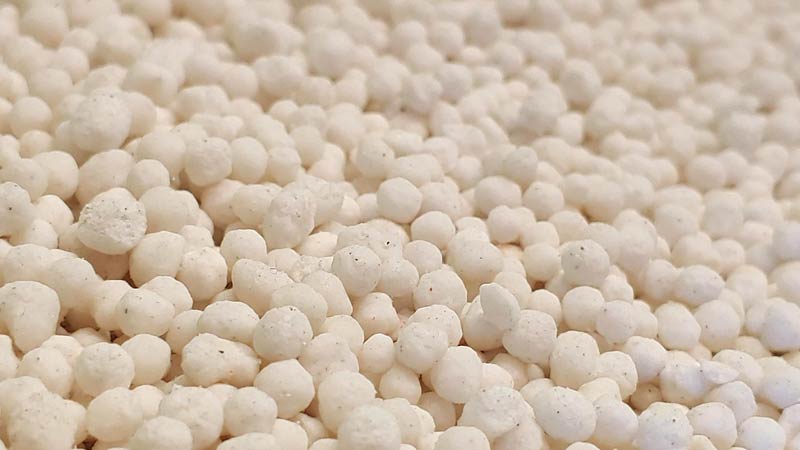 Sekret bujnych plonów - jak odpowiednie nawożenie wpływa na zdrowy rozwój roślin?