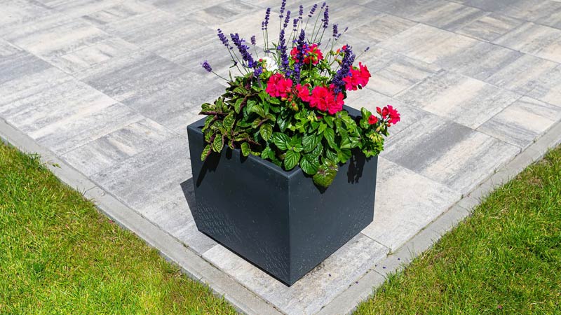 Układamy kostkę brukową w 2026 roku. Najciekawsze modele i trendy