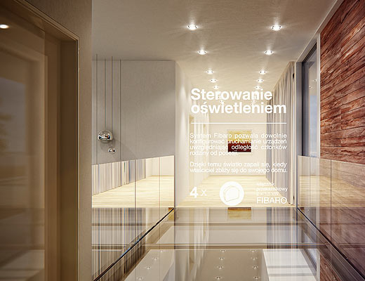 Inteligencja w standardzie