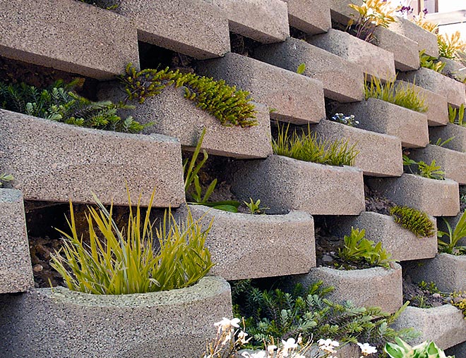 Murki oporowe w ogrodzie