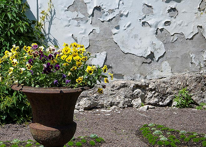 Idzie wiosna - 5 prac do zrobienia wokół domu