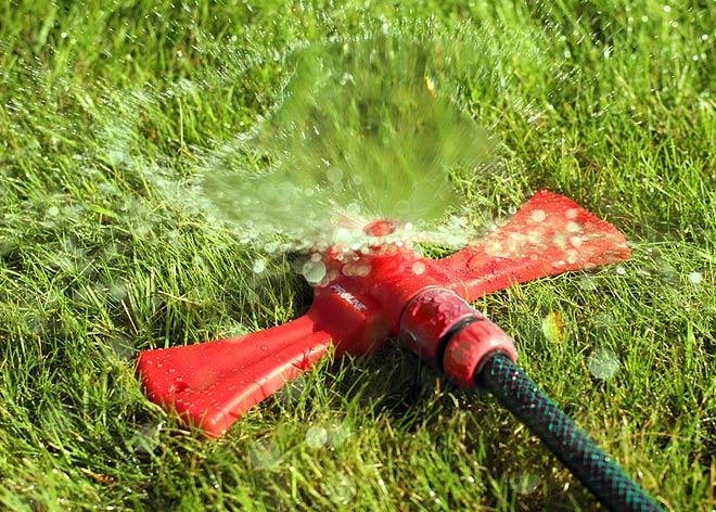 Ratujmy soczystą zieleń w ogrodzie