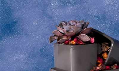 Lumir - ścienna biżuteria