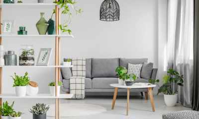 Białe wnętrza z dodatkiem ożywczej zieleni