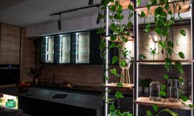 Urban jungle - ozdabiamy światłem