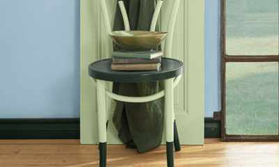 Seledyn do zadań specjalnych