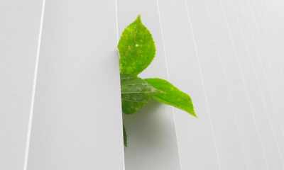 Zielone budownictwo i zrównoważony rozwój: przewodnik po certyfikacie BREEAM