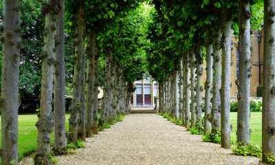 Dlaczego warto zlecić zakładanie ogrodu profesjonalistom?