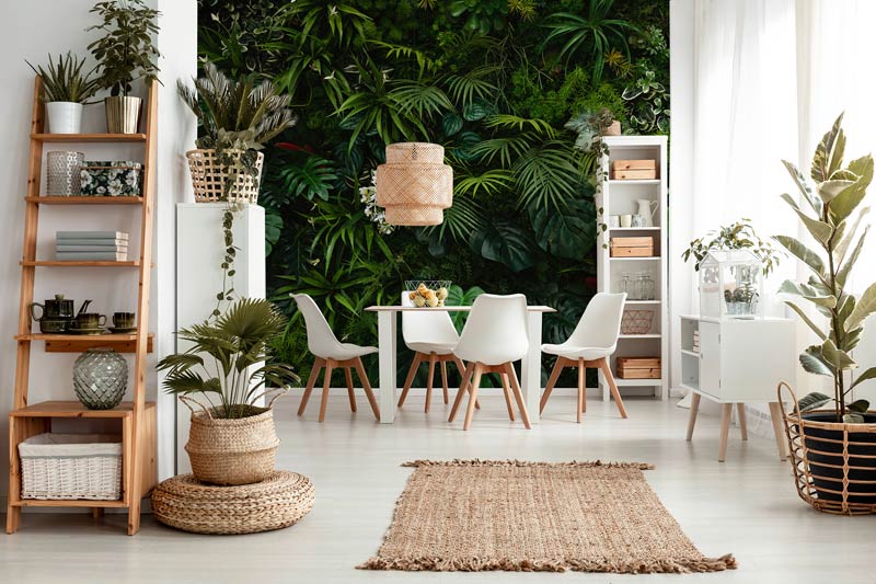 fototapeta liście wf2223